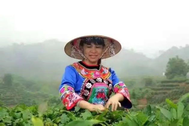 【梧州工匠】劉錦芳：鉆研和創(chuàng)新，帶領(lǐng)鄉(xiāng)親發(fā)家致富