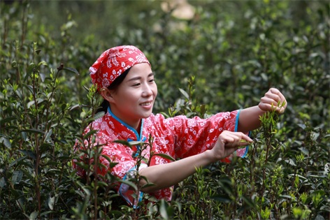 2022年“全國十佳農民”揭曉 全國勞模石濡菲上榜！