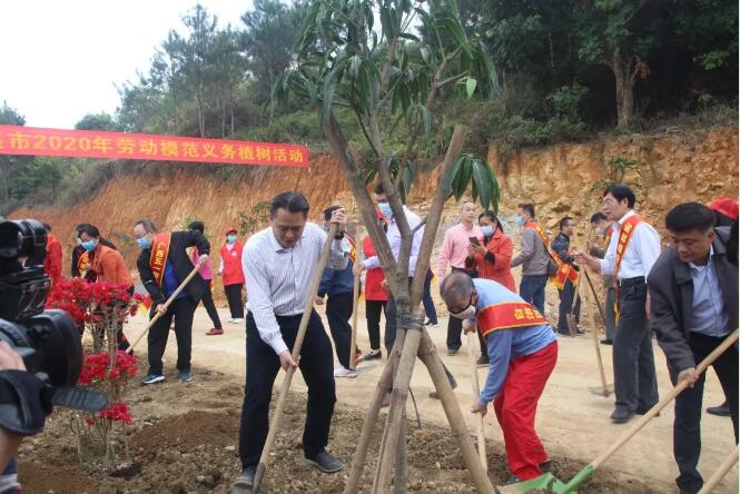 植樹(shù)造林，這群楷模這樣做