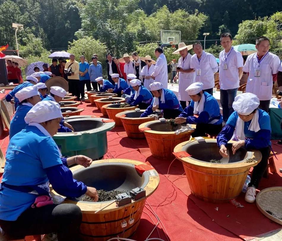 蒼梧縣總工會(huì)舉辦2020年村級傳統(tǒng)六堡茶制茶大賽