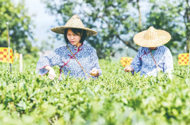 國家批復(fù)同意，梧州籌建！