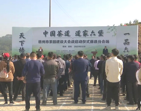 我市召開茶產(chǎn)業(yè)發(fā)展大會茶園建設現(xiàn)場會 吹響建設百萬畝茶園沖鋒號角