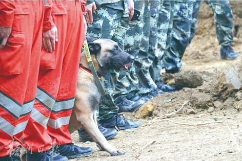 消防、武警、摩托車運輸隊等多方力量聯(lián)合搜救｜東航客機墜毀事故救援現(xiàn)場直擊