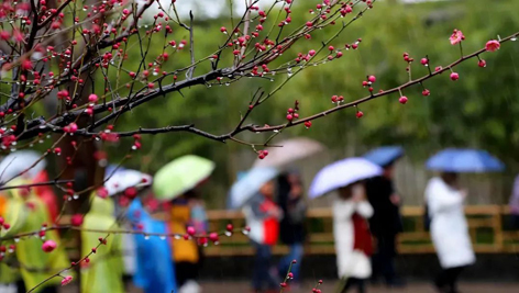 今日雨水！別忘了咱的老講究！