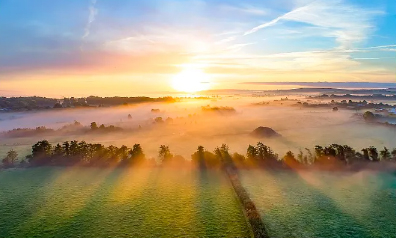 學(xué)思導(dǎo)圖丨抓好黨紀學(xué)習(xí)教育 習(xí)近平總書記這樣強調(diào)