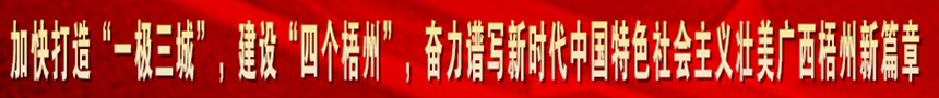 加快打造“一級(jí)三城市”，建設(shè)“四個(gè)梧州”，奮力譜寫(xiě)新時(shí)代中國(guó)特色社會(huì)主義壯美廣西梧州新篇章
