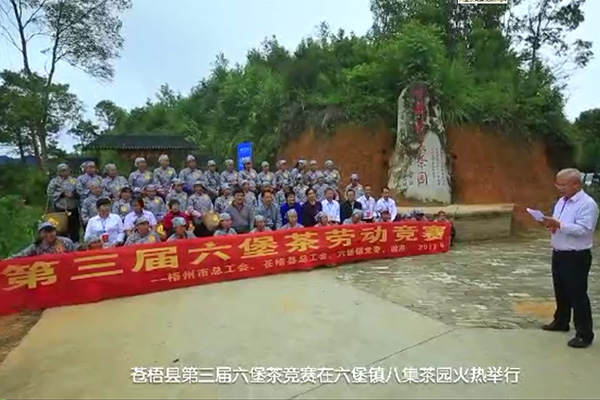 六堡茶競賽視頻